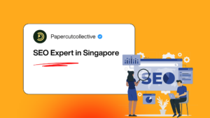 SEO Expert in Singapore