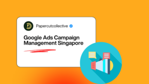 Google Ads Campaign Management Singapore