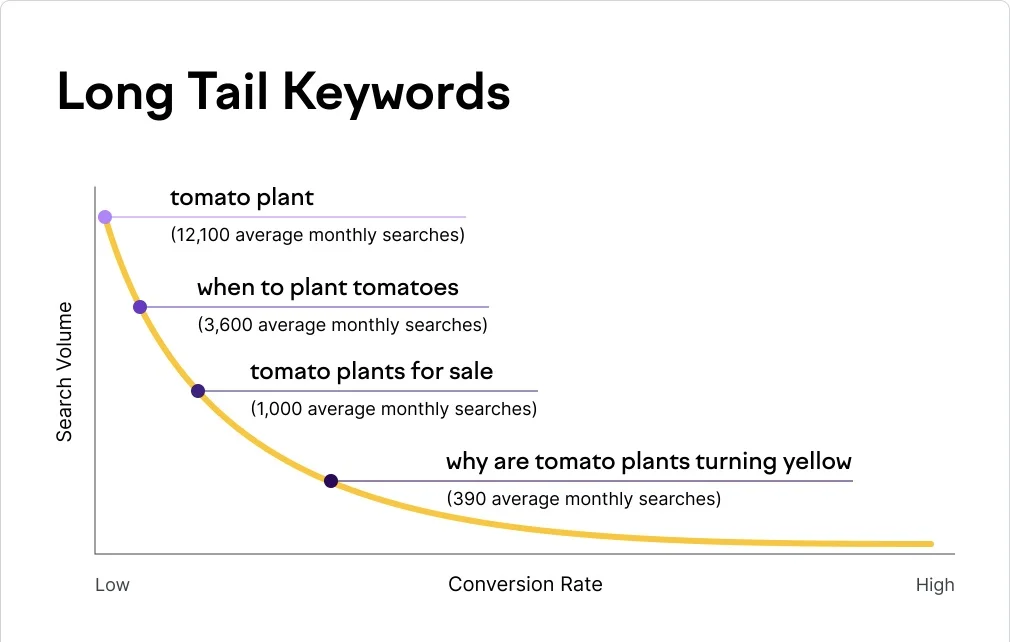 Long-Tail Keywords