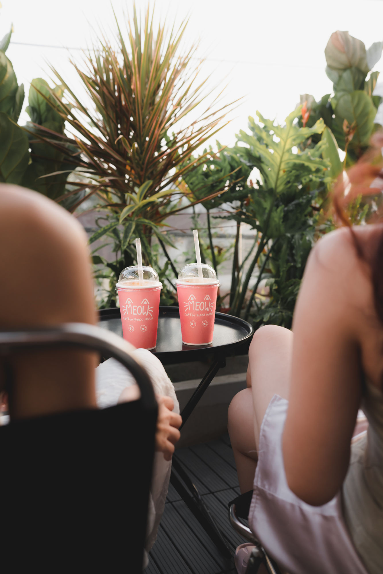 Meow Coffee & Tea