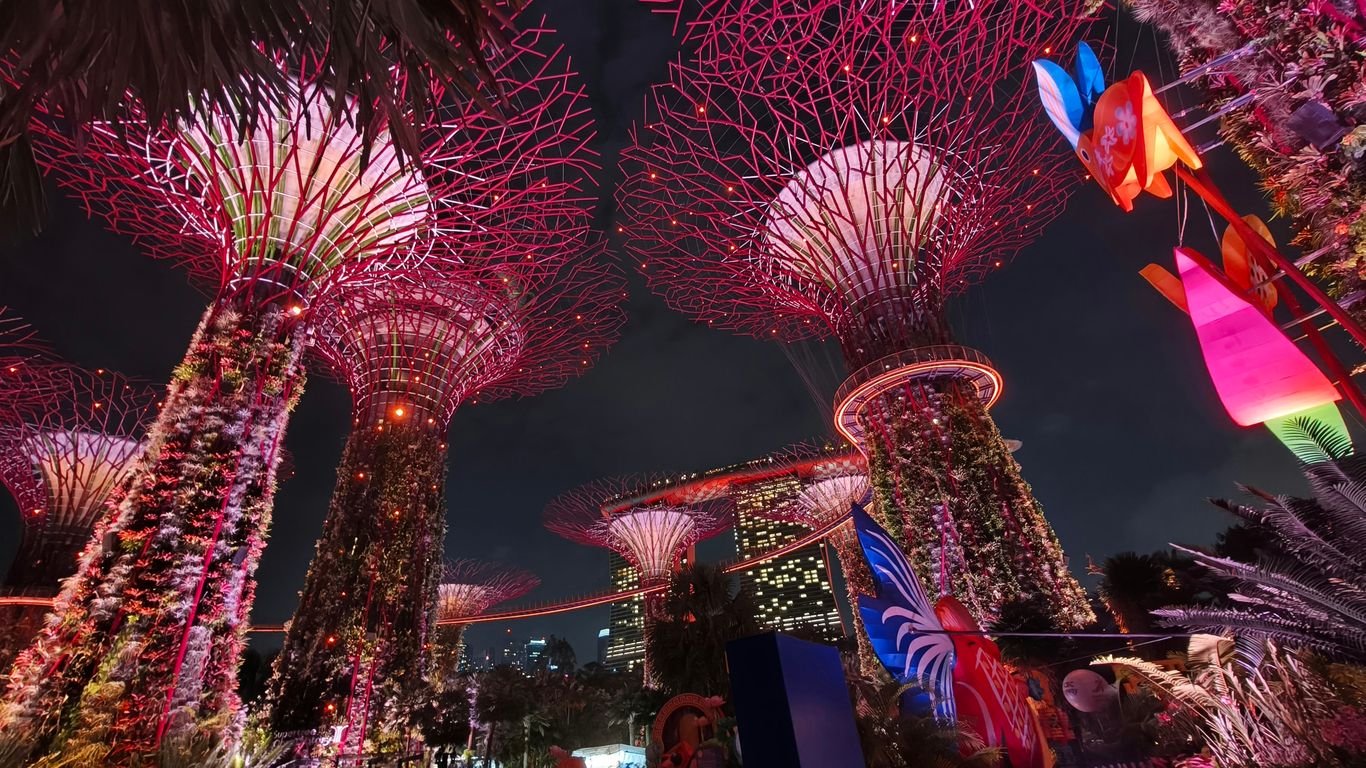 Local SEO services for Singapore businesses