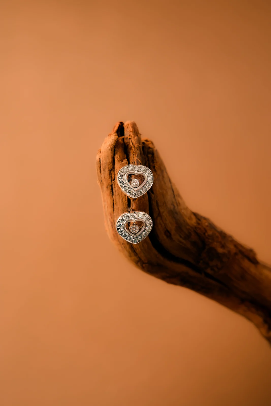 Panther's Eye photography by PaperCutCollective