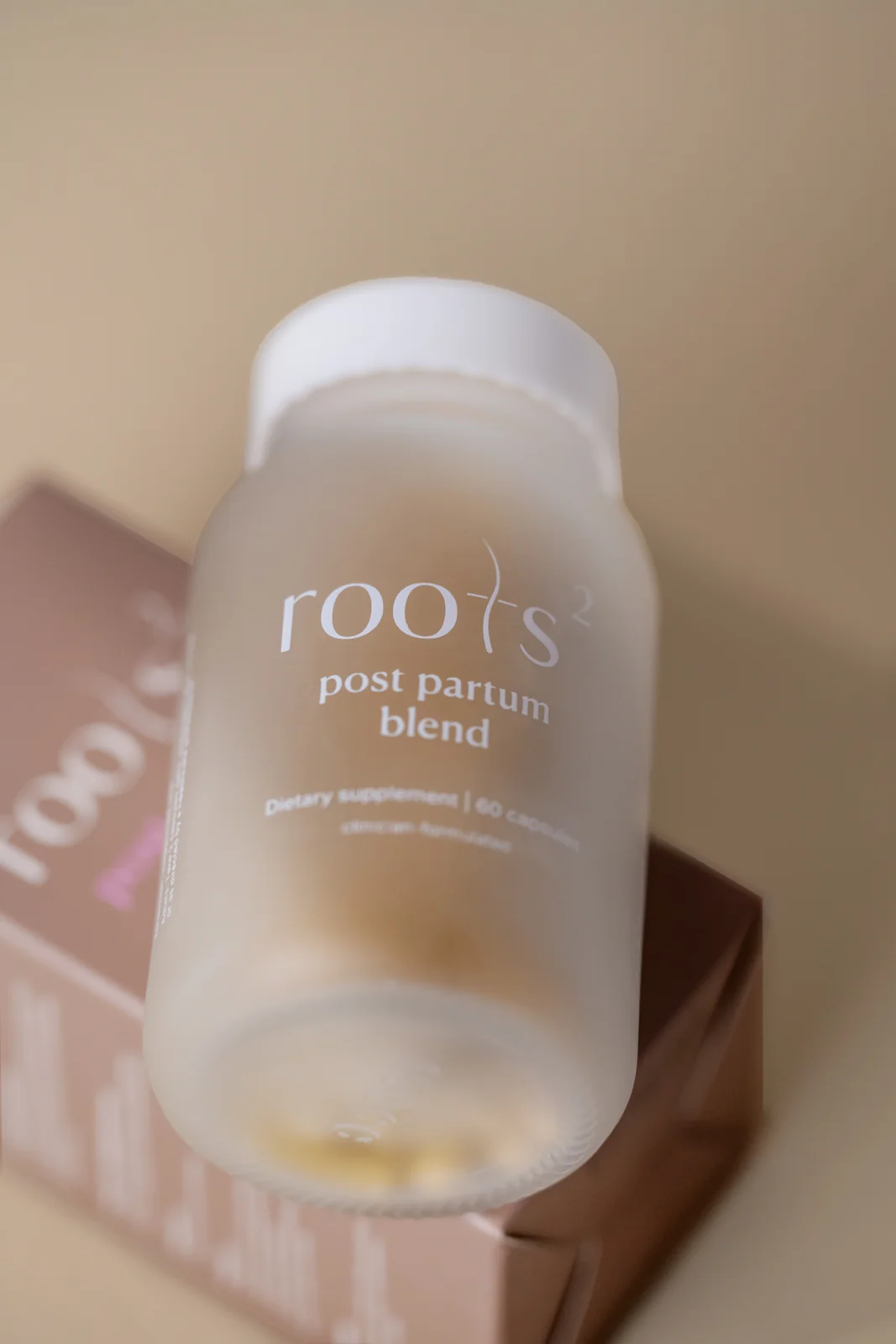 Roots2 photography by PaperCutCollective