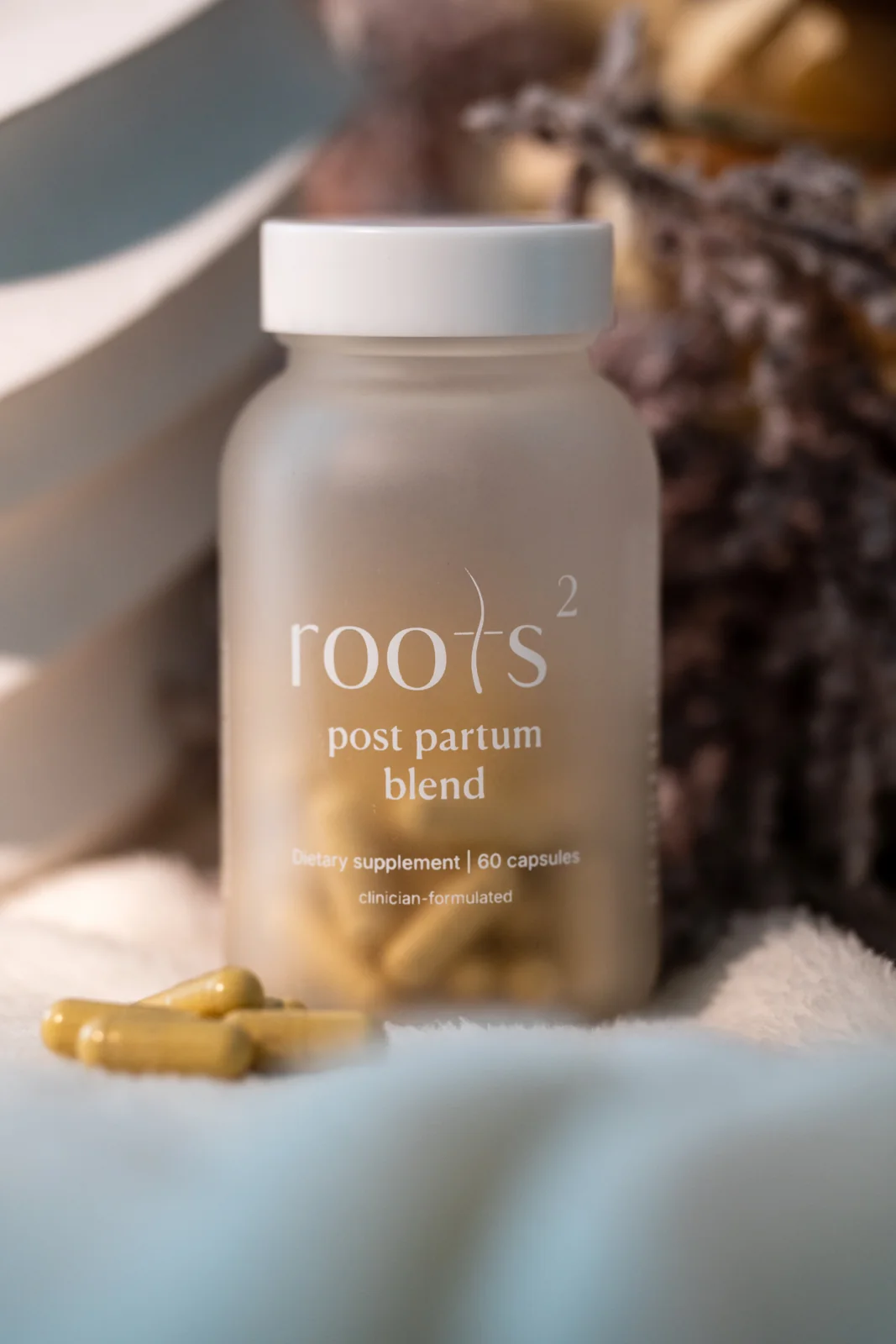 Roots2 photography by PaperCutCollective